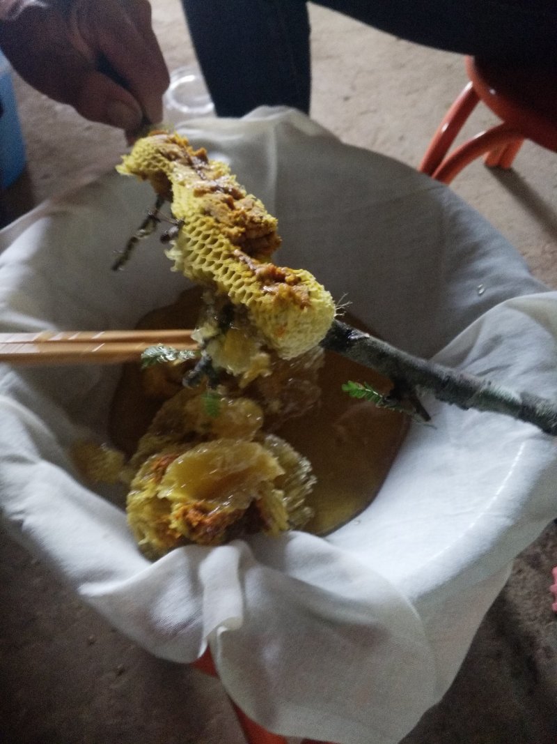 野生蜂蜜