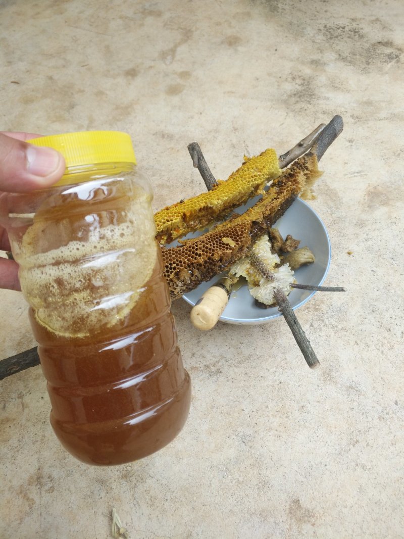 野生蜂蜜
