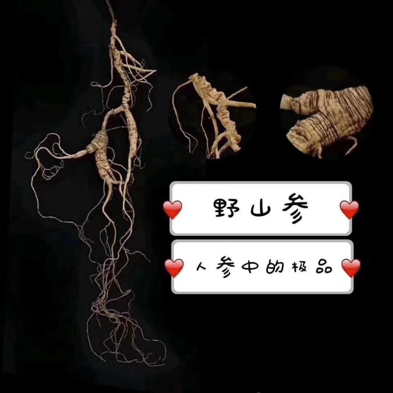 参片