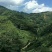 野生冬蜜深山放养