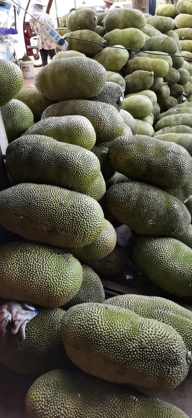 海南菠萝蜜马来西亚一号，真实报价，一手货源，一件代发