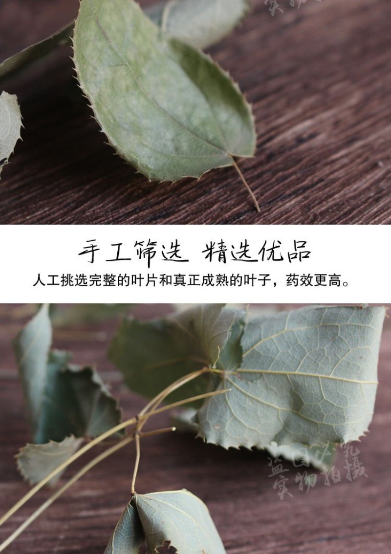 淫羊藿叶淫羊霍全草24小时内发货正品