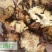 川芎片，四川川穹薄片，颜色漂亮，气味香浓，产地直销