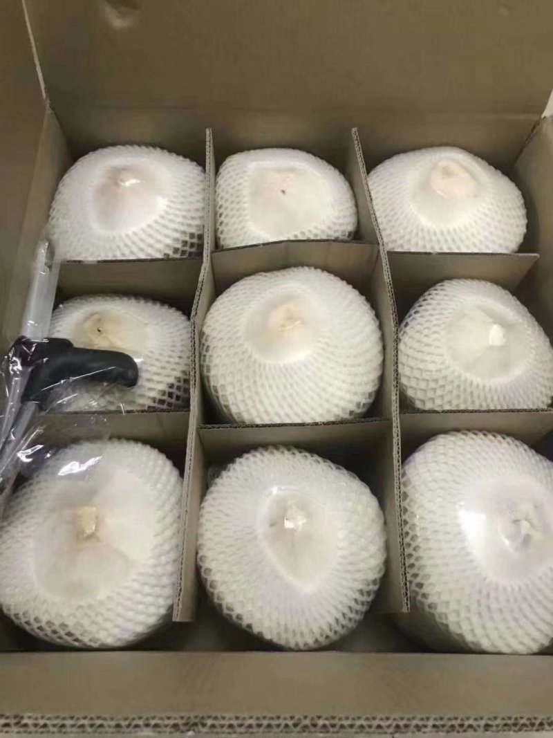 海南椰青，一件代发包邮，厂家直销