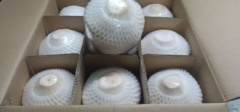海南椰青，一件代发包邮，厂家直销