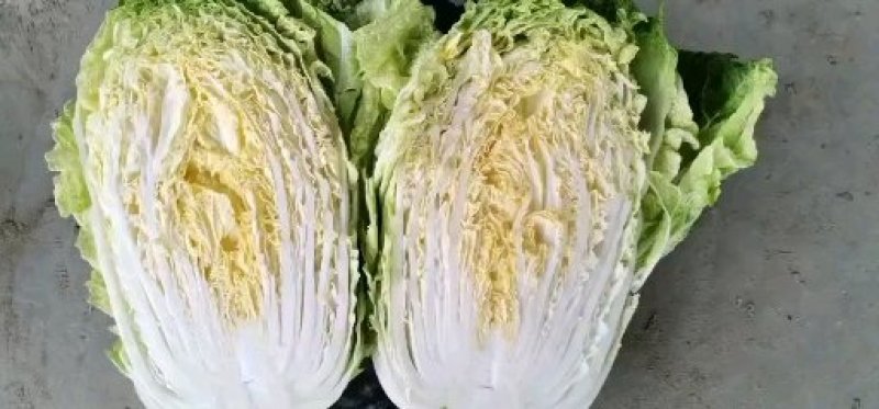 黄心大白菜
