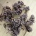 密蒙花，也叫明目花、雪茶、黄饭团，现货供应
