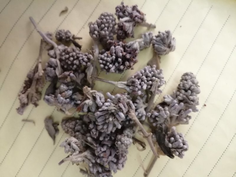密蒙花，也叫明目花、雪茶、黄饭团，现货供应