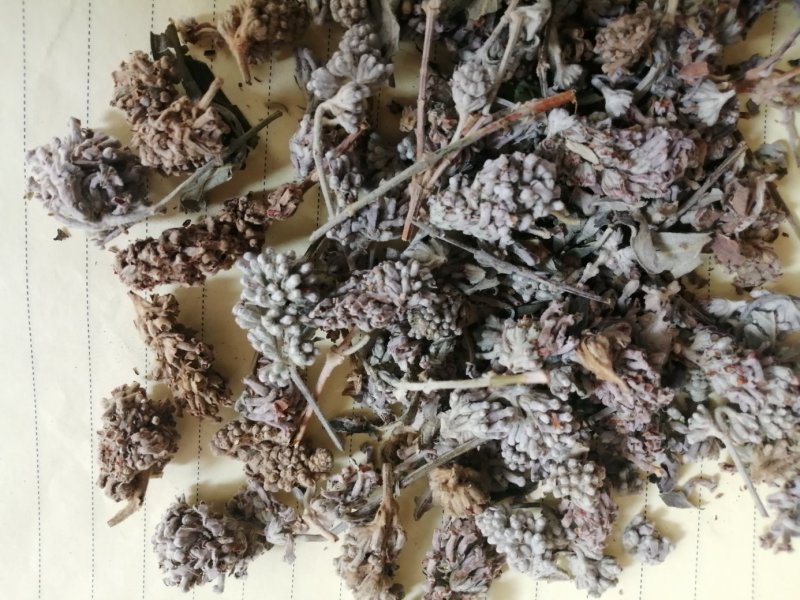 密蒙花，也叫明目花、雪茶、黄饭团，现货供应