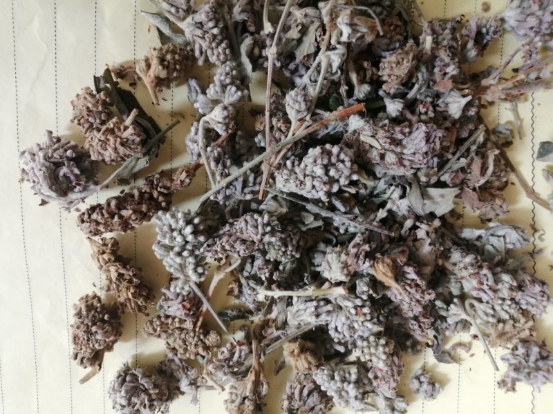 密蒙花，也叫明目花、雪茶、黄饭团，现货供应