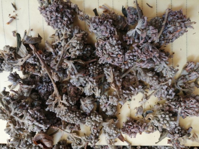 密蒙花，也叫明目花、雪茶、黄饭团，现货供应