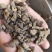 巴戟制巴戟肉大统装欢迎采购货好量大