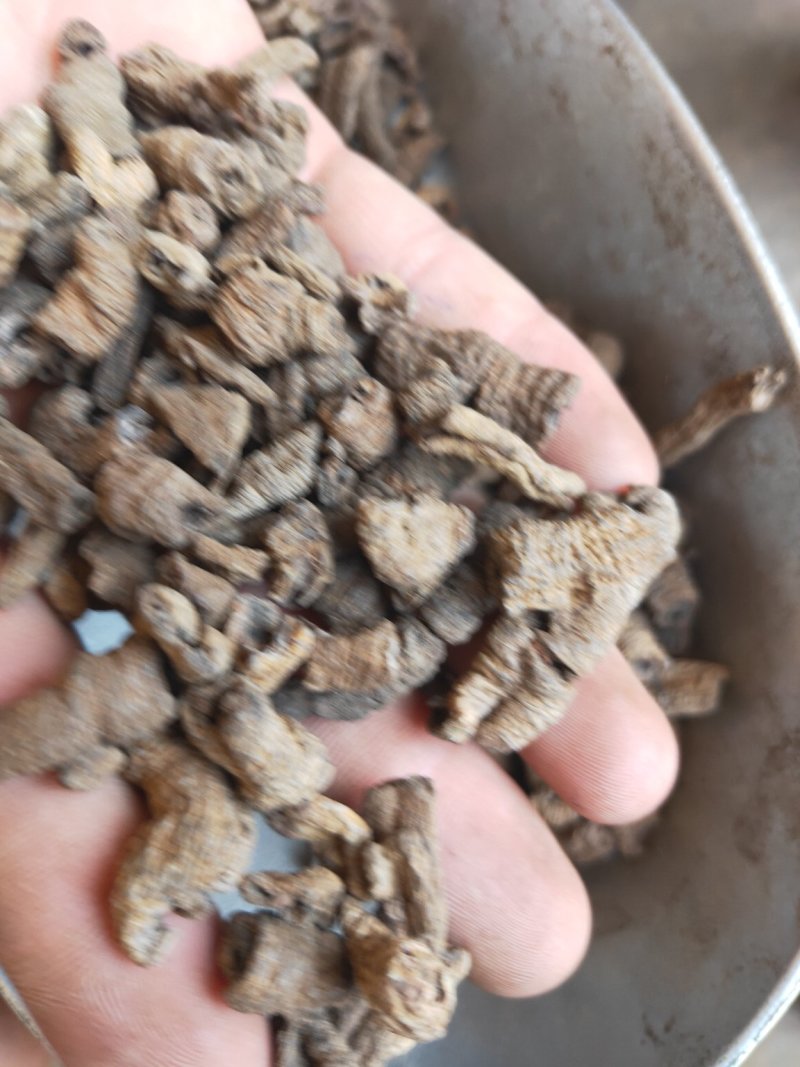 巴戟制巴戟肉大统装欢迎采购货好量大