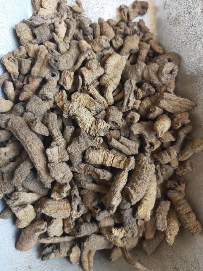 巴戟制巴戟肉大统装欢迎采购货好量大