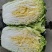 黄心大白菜