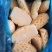 徐闻菠萝速冻红菠萝块、青菠萝块，香甜可口，可直接食用加工