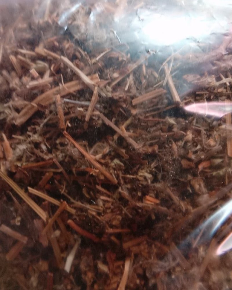 老鹤草，常年批发供应冷背中药材老鹤草，老观草