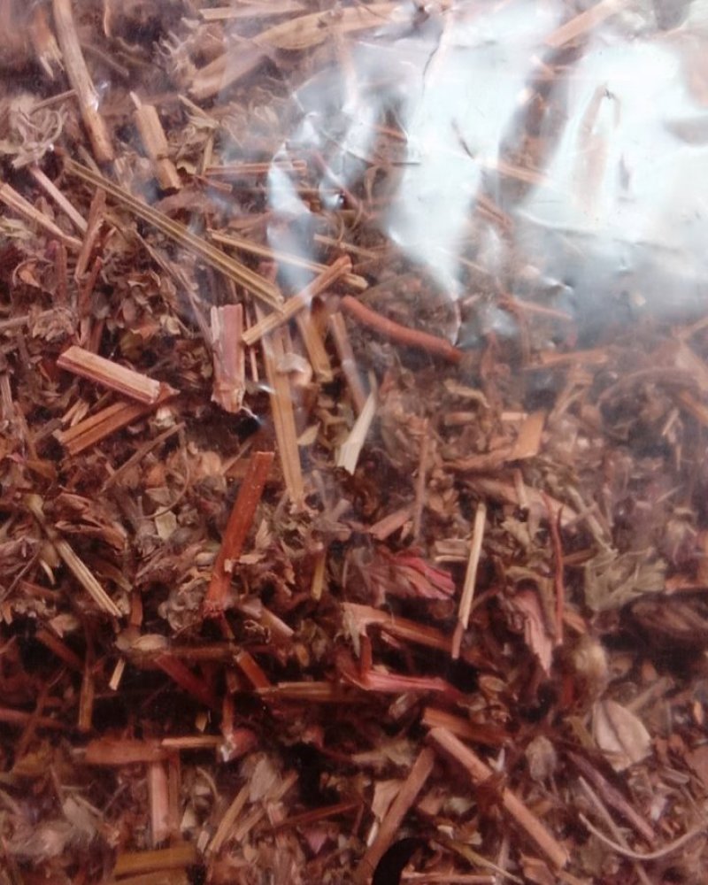 老鹤草，常年批发供应冷背中药材老鹤草，老观草
