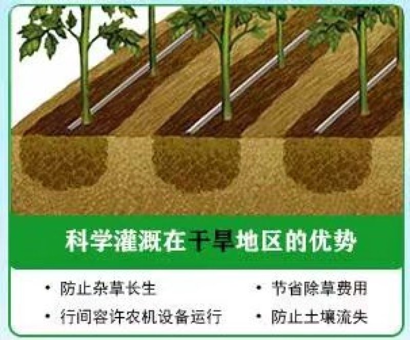 便民滴灌带滴水滴管膜下滴灌带农用滴灌管16内镶贴片式滴灌