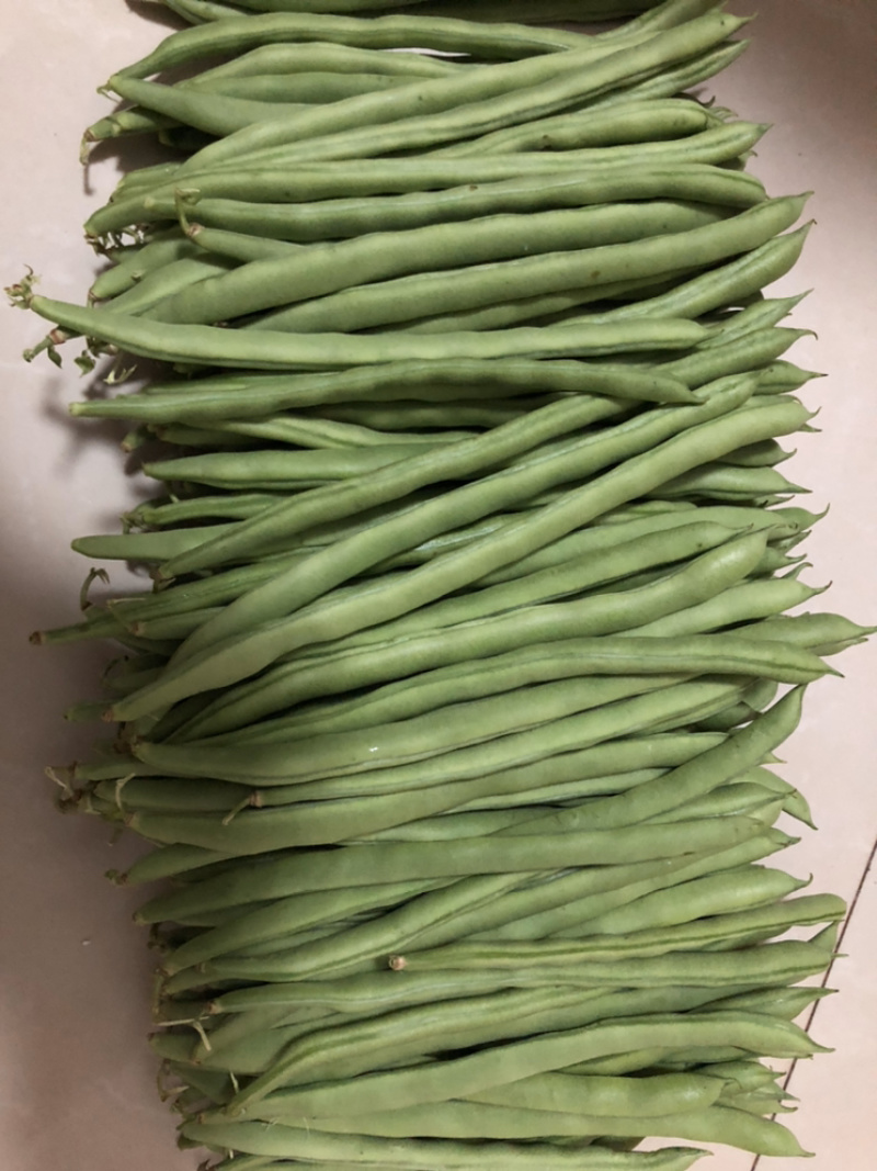 豆类