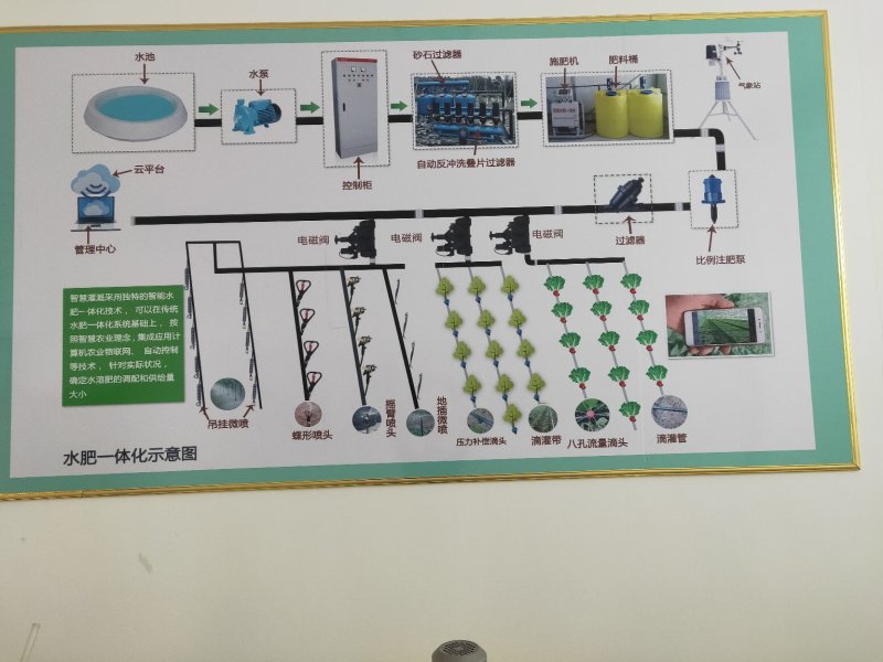 农用滴灌带滴水滴管膜下滴灌带农用滴灌管16内镶贴片式滴灌