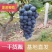 江苏万亩葡，开始大量上市，夏黑无核，巨峰葡萄，诚信代办。