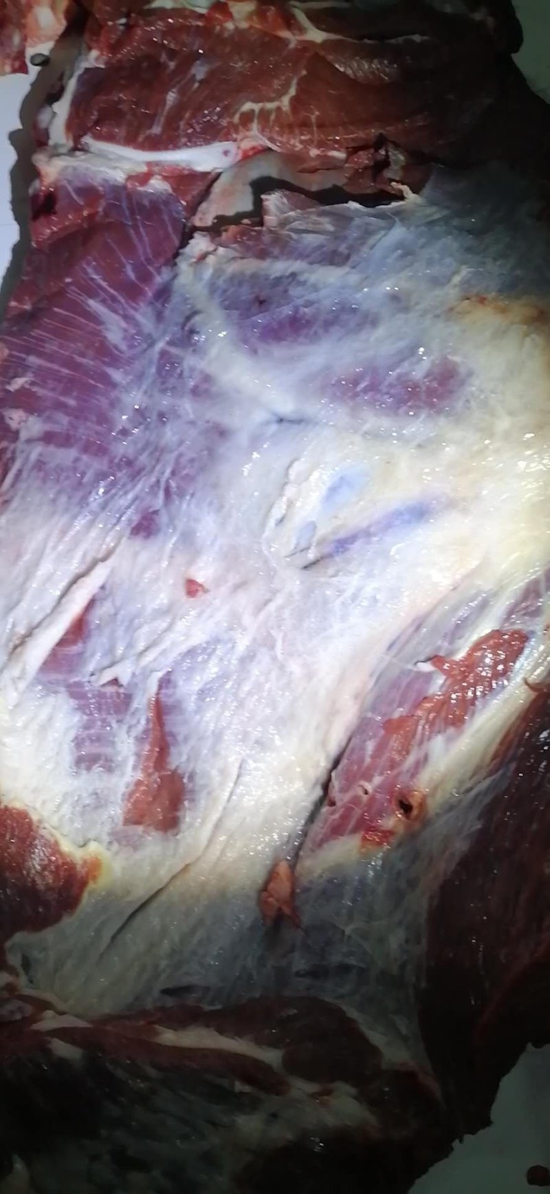 新鲜驴肉，新鲜梅花鹿肉