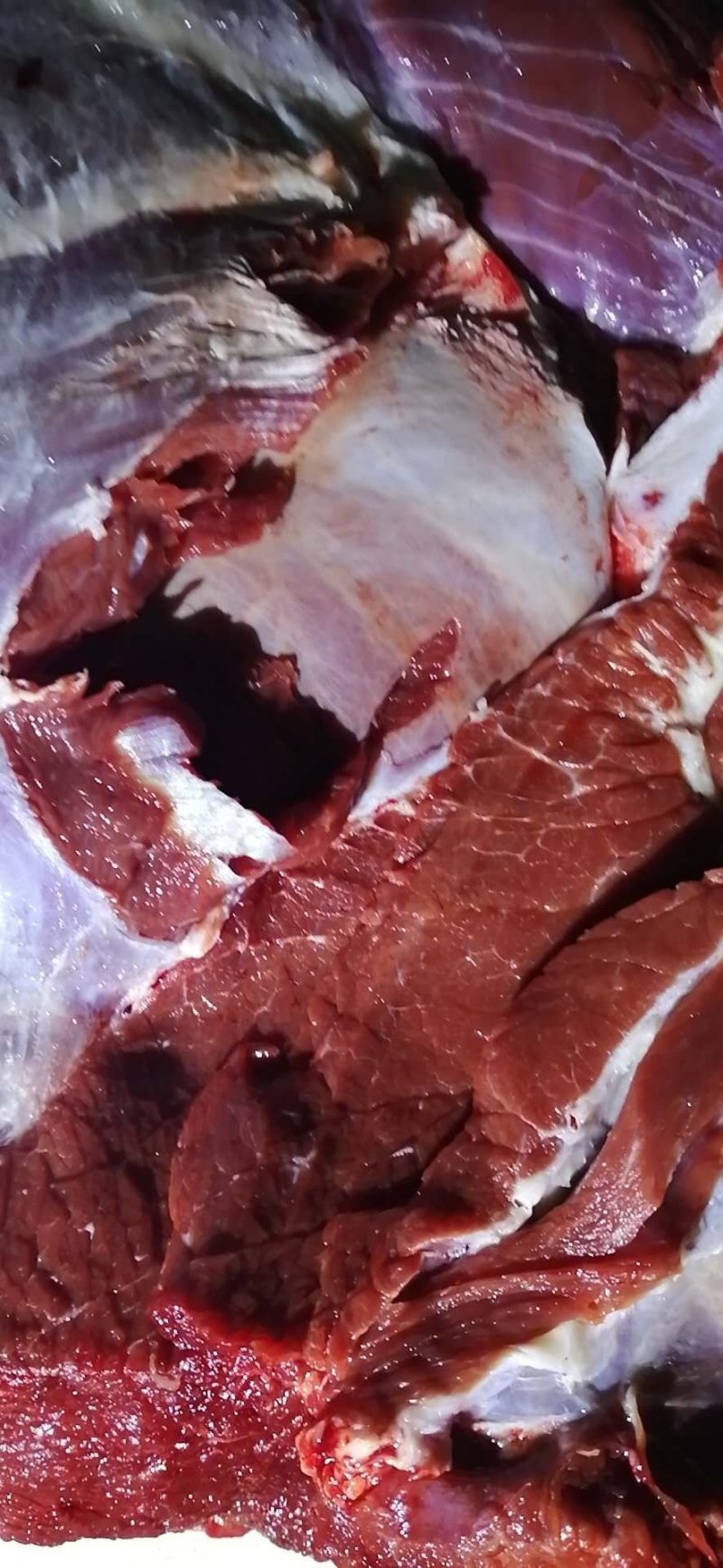 新鲜驴肉，新鲜梅花鹿肉