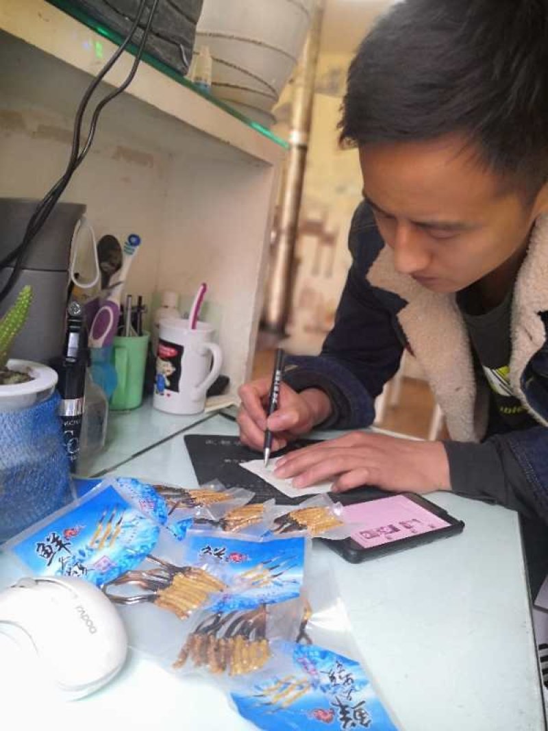 鲜虫草
