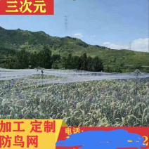 果园防鸟网防护网葡萄网枸杞网尼龙网