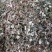 金钱草川金钱草大叶野生金钱草0.17含量大货产地直供