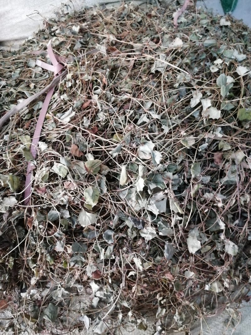 金钱草川金钱草大叶野生金钱草0.17含量大货产地直供