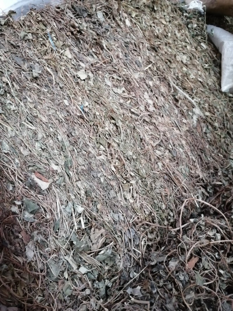 金钱草川金钱草大叶野生金钱草0.17含量大货产地直供