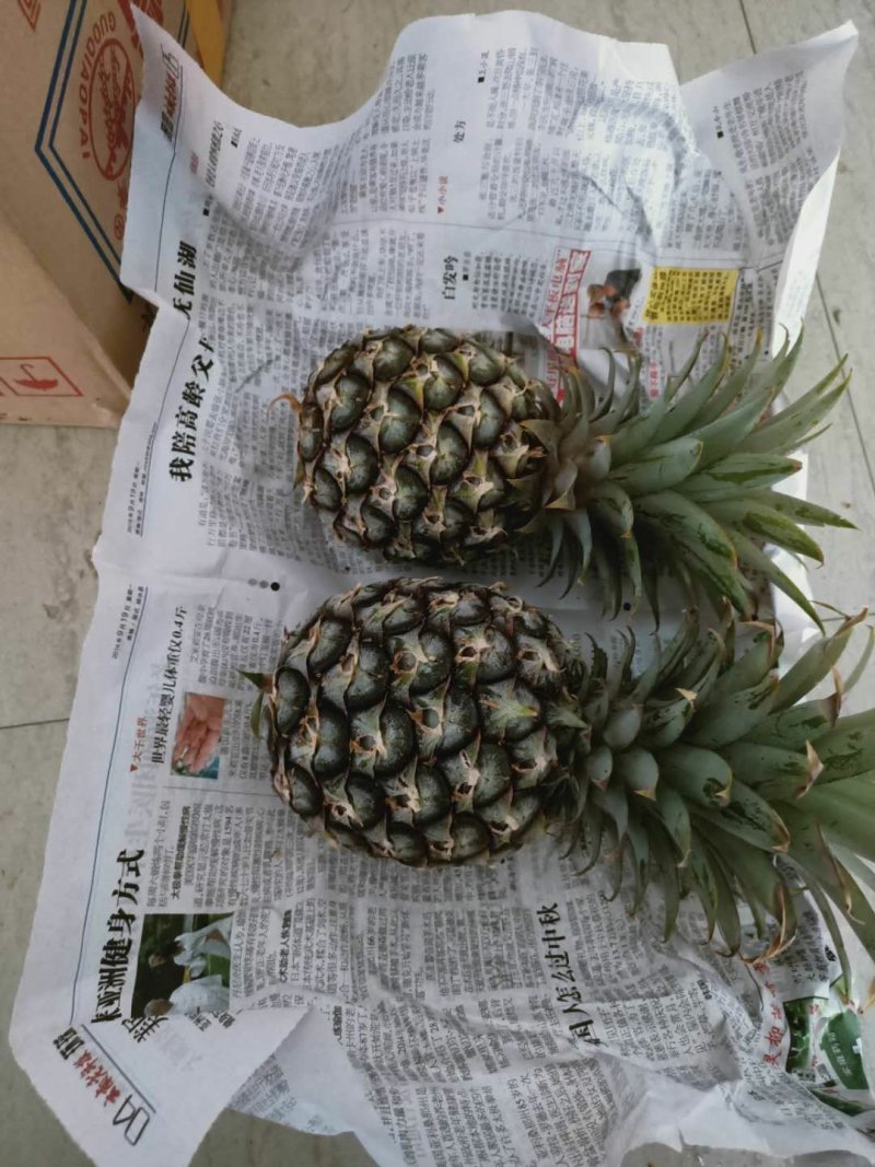 电商小果菠萝，适合电商拼多多！量大从优！
