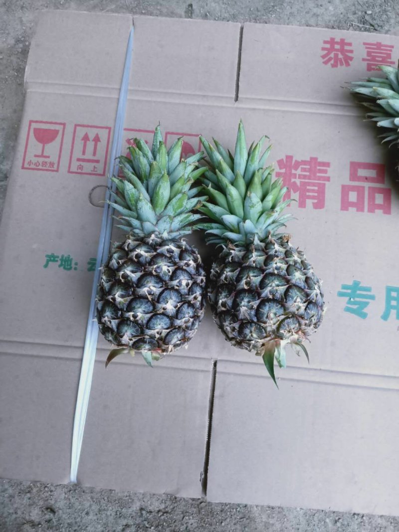 电商小果菠萝，适合电商拼多多！量大从优！