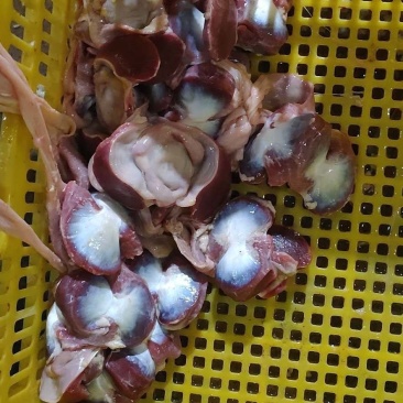 鸭胗~冰鲜桂柳白鸭胗（火锅料）