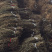 湖南本地干豆角，自然晾晒，整齐嫩条，无添加