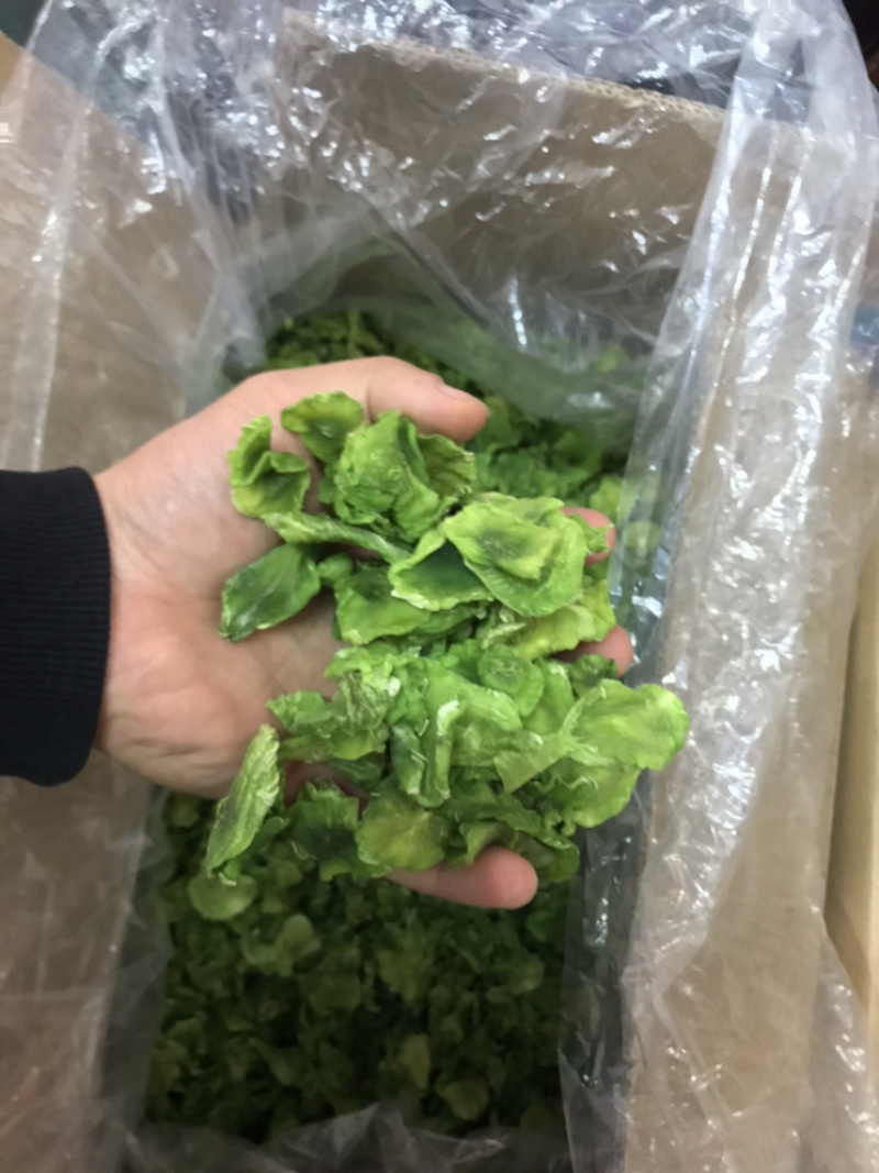 脱水莴笋片，莴笋干，片匀，质干，色绿