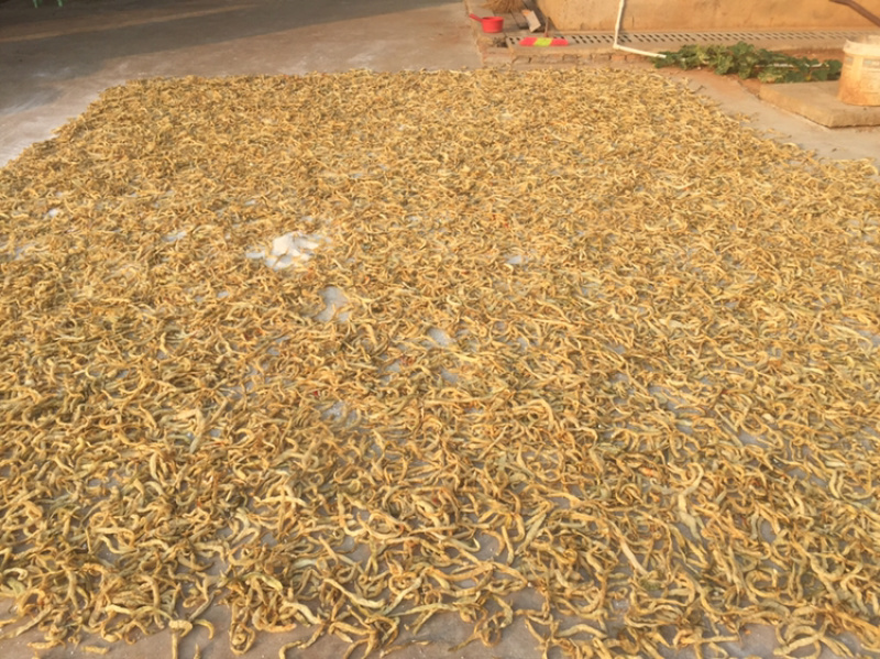 乡里白辣椒，卜辣椒，坛子辣椒，水煮，自然晾晒，无添加