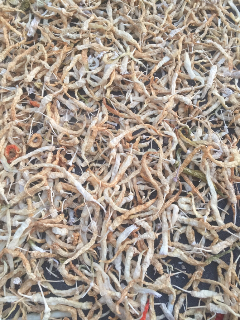 乡里白辣椒，卜辣椒，坛子辣椒，水煮，自然晾晒，无添加