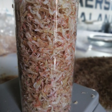 虾皮淡干无盐虾皮可打粉宝宝补钙佳品