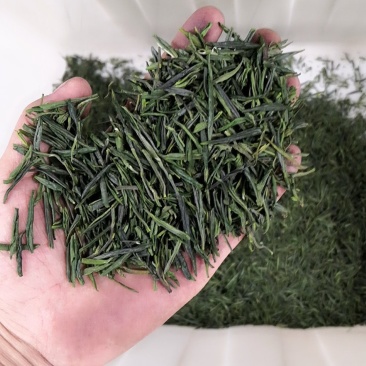 雀舌绿茶2020年峨眉山绿茶银针袋装250g