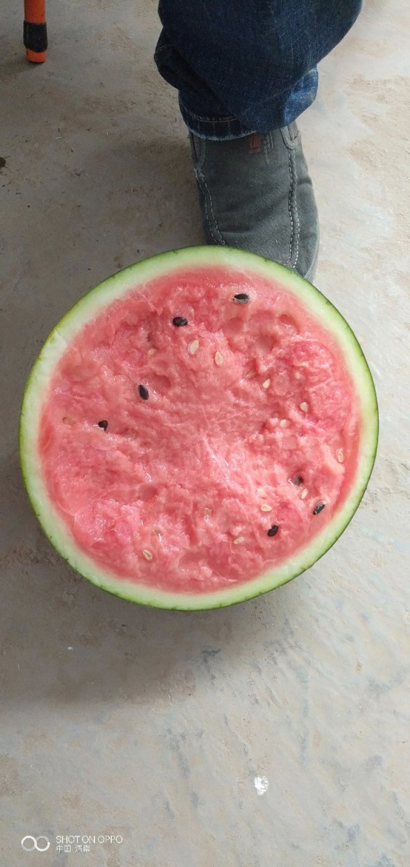 精品甜王，皮毛好，甜度高，可视频看货