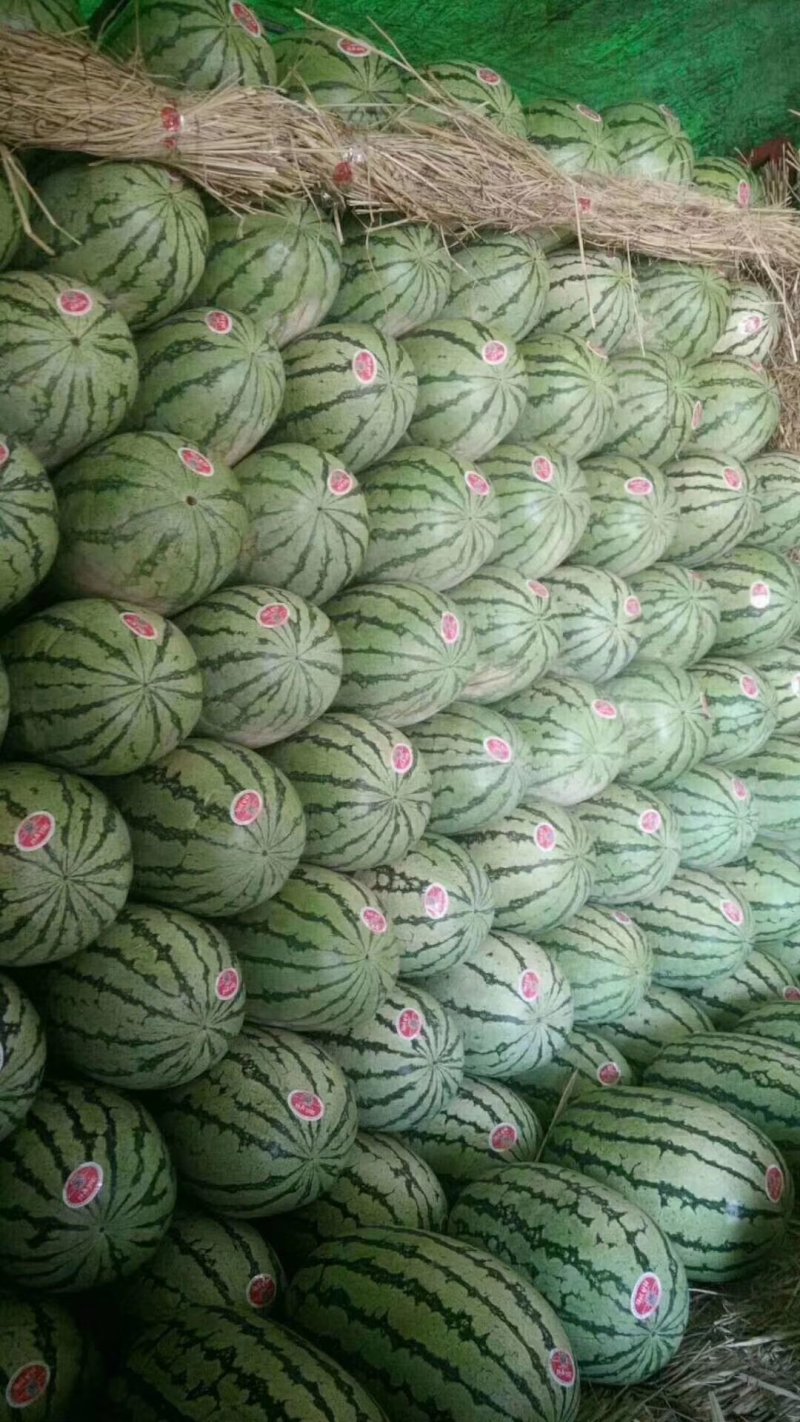 精品甜王，皮毛好，甜度高，可视频看货
