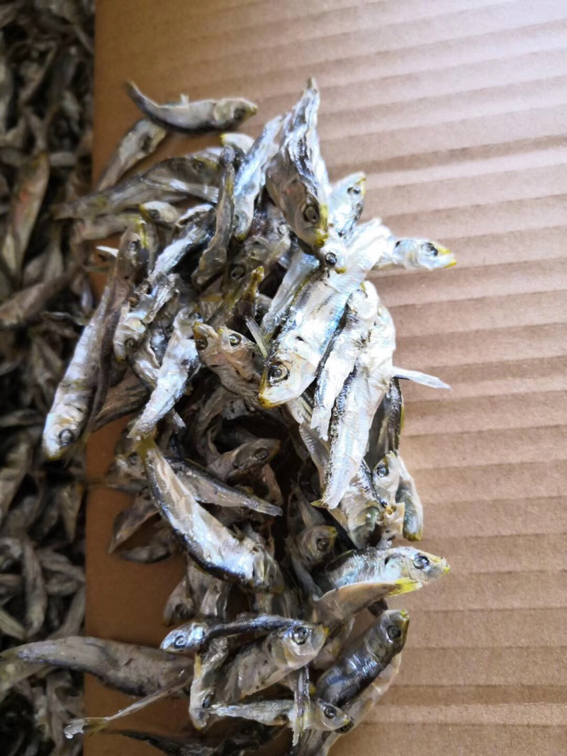 当季的小青兰，自家晒的小鱼干