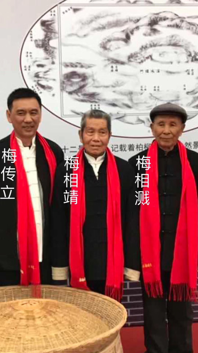 福鼎白茶（2019春寿眉）