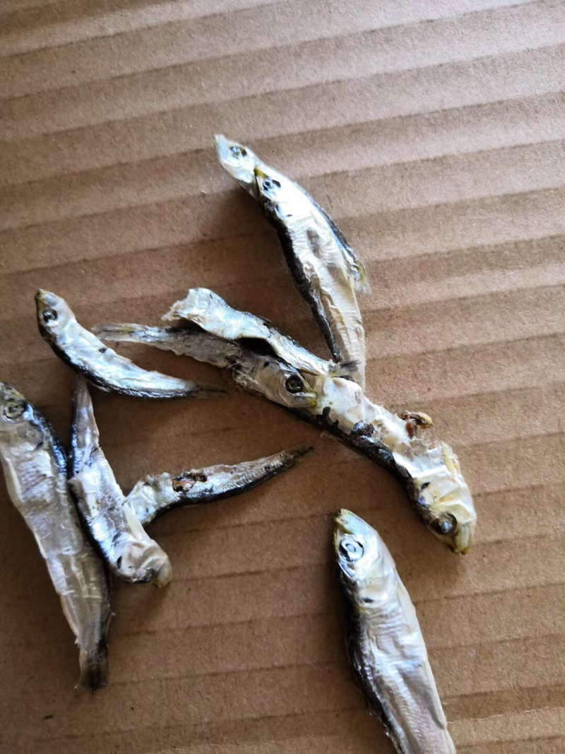 当季的小青兰，自家晒的小鱼干