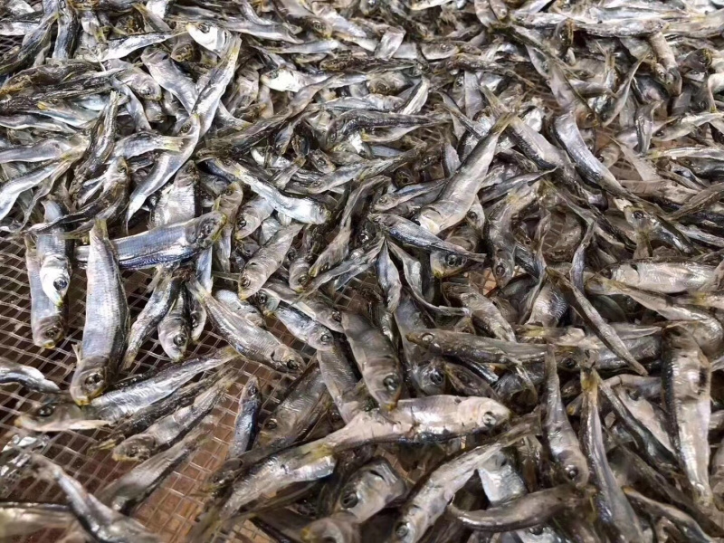 当季的小青兰，自家晒的小鱼干