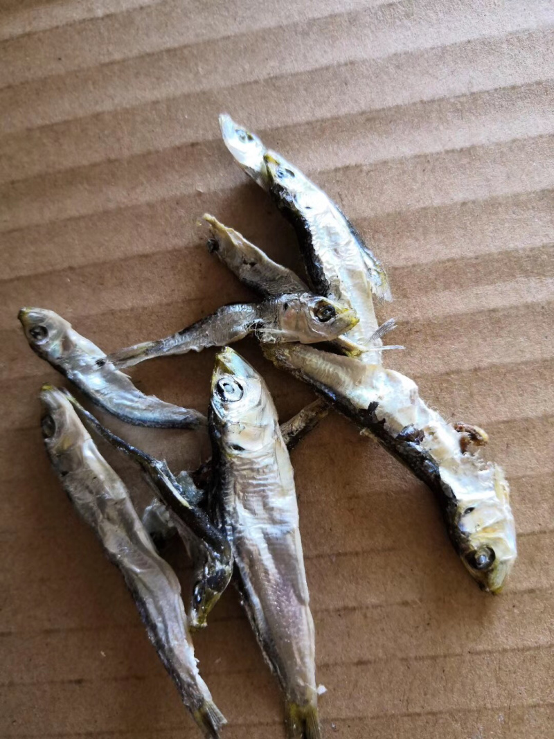 当季的小青兰，自家晒的小鱼干