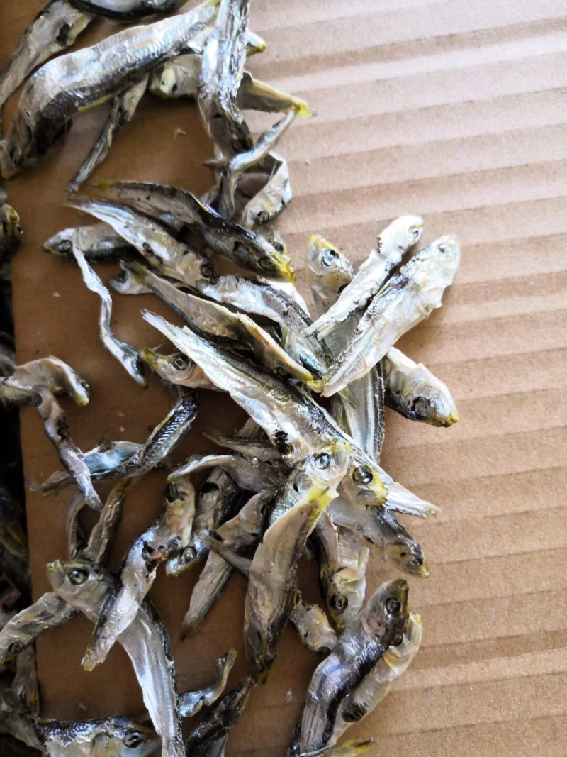 当季的小青兰，自家晒的小鱼干